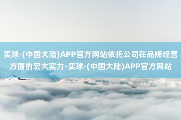 买球·(中国大陆)APP官方网站依托公司在品牌经营方面的宏大实力-买球·(中国大陆)APP官方网站