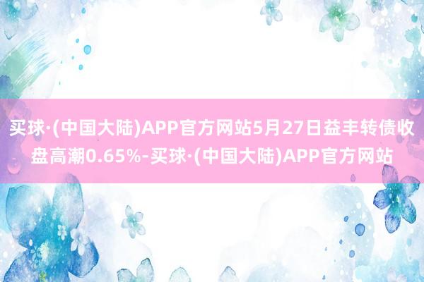 买球·(中国大陆)APP官方网站5月27日益丰转债收盘高潮0.65%-买球·(中国大陆)APP官方网站