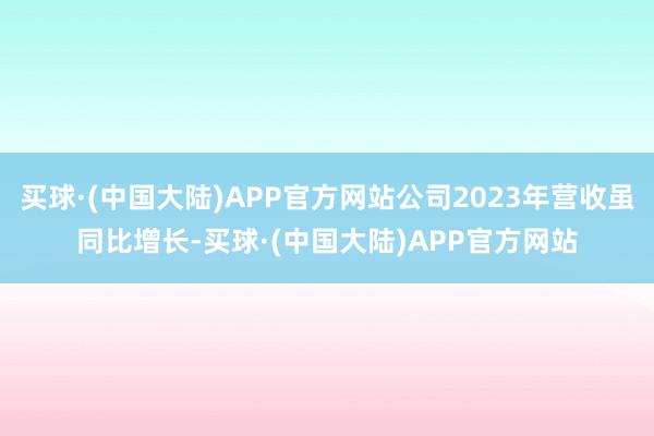 买球·(中国大陆)APP官方网站公司2023年营收虽同比增长-买球·(中国大陆)APP官方网站