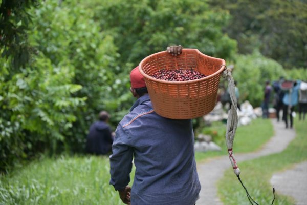 买球·(中国大陆)APP官方网站连年来参与大赛的中国评委、买家和破钞者越来越多-买球·(中国大陆)APP官方网站