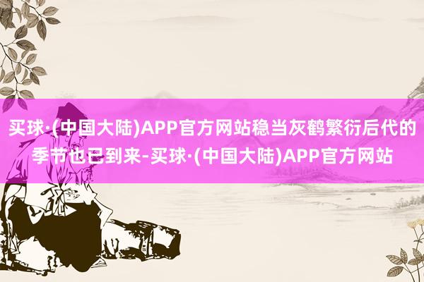 买球·(中国大陆)APP官方网站稳当灰鹤繁衍后代的季节也已到来-买球·(中国大陆)APP官方网站