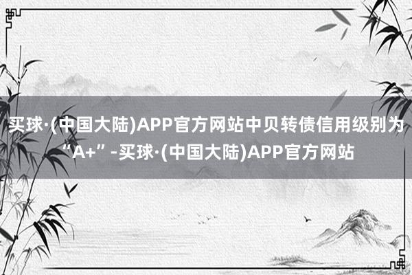 买球·(中国大陆)APP官方网站中贝转债信用级别为“A+”-买球·(中国大陆)APP官方网站